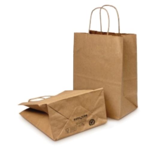 16" x 6" x 19.25" Paper Towner Shopping Bag