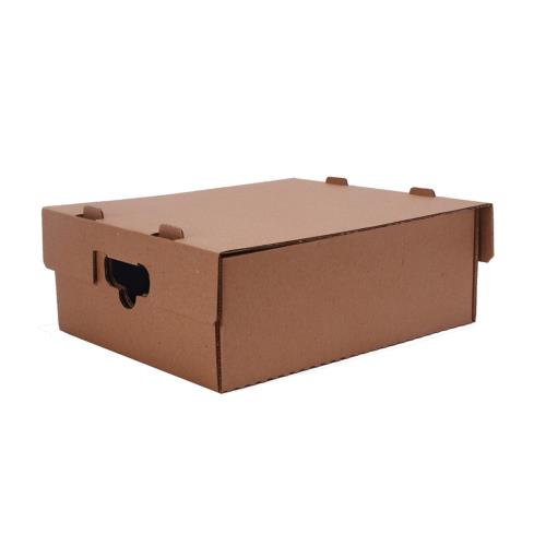 Catering Tray W/Lid Paper Small Kraft