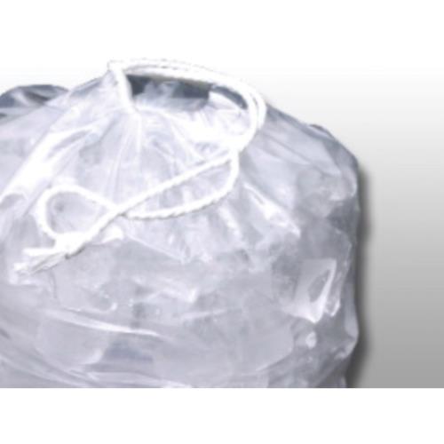 Drawstring Ice Bag 10# LDPE/Met 12X19 Clear/Igloo Print