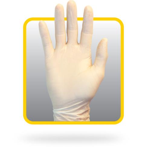 Glove Latex P/F Large Natural